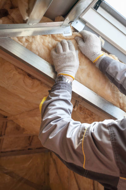 Best Residential Insulation in Baldwin, FL